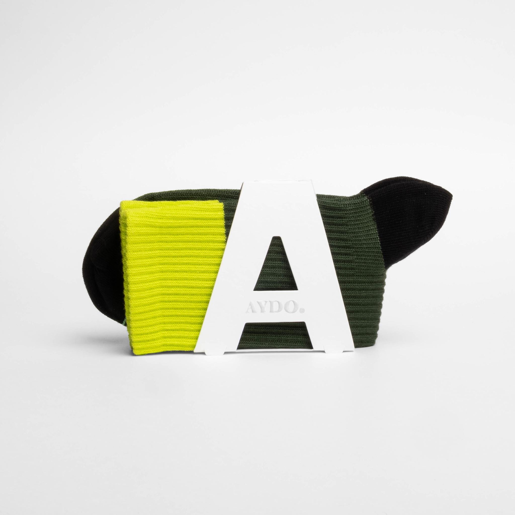 ALTAI RUOTE // VERDANT PULSE