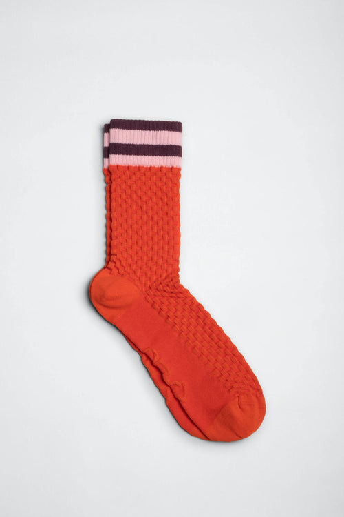 AMSTERDAM // Red Orange // Prune Purple // Pink Rose
